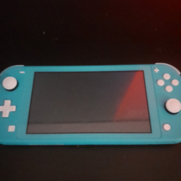 Nintendo switch lite